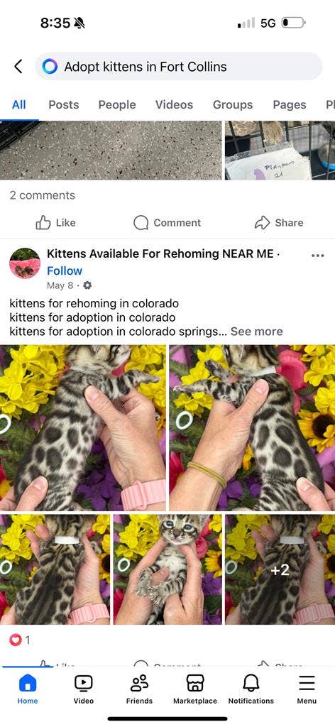Room for rent foco