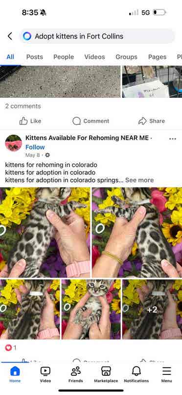 Room for rent foco