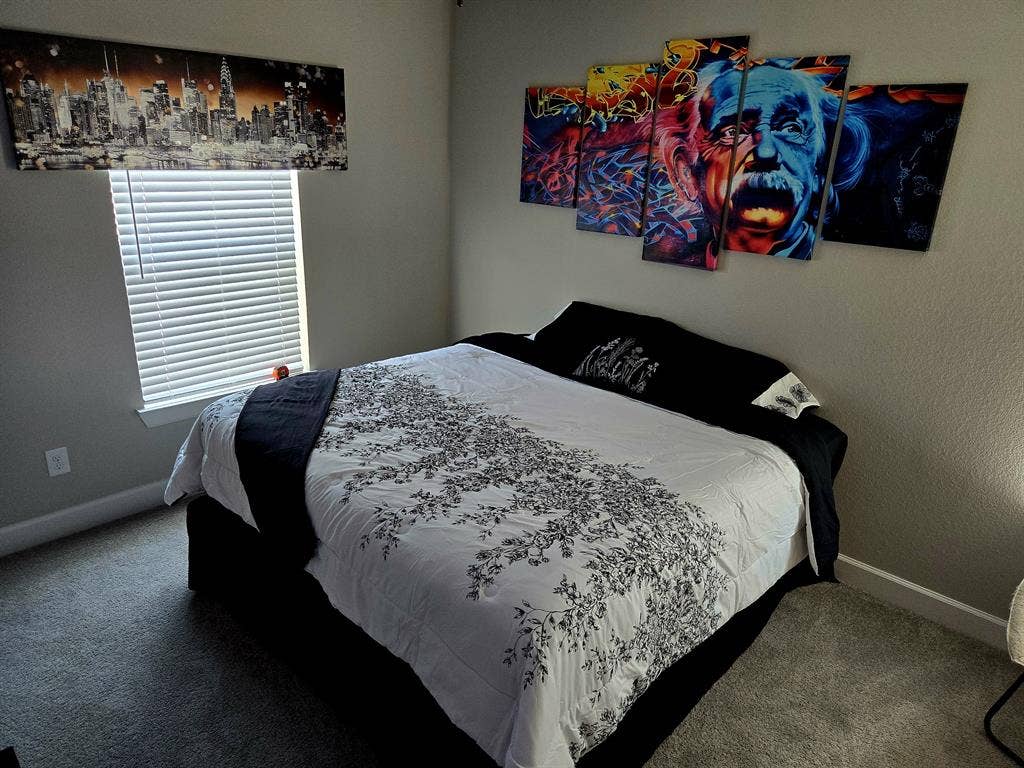 Modern Apt, Roommate interviews!