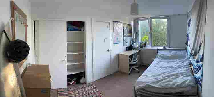 Room Surfer House with Huge Garden