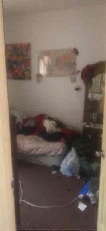 Looking for roommate