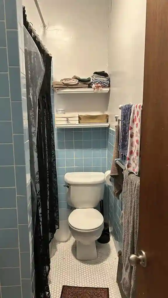 /month in Astoria - w/ cute cat