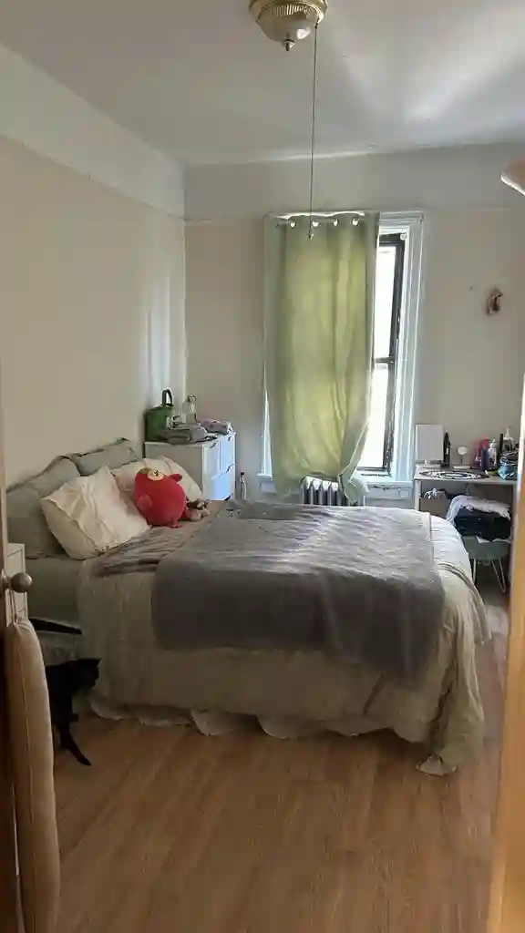 /month in Astoria - w/ cute cat