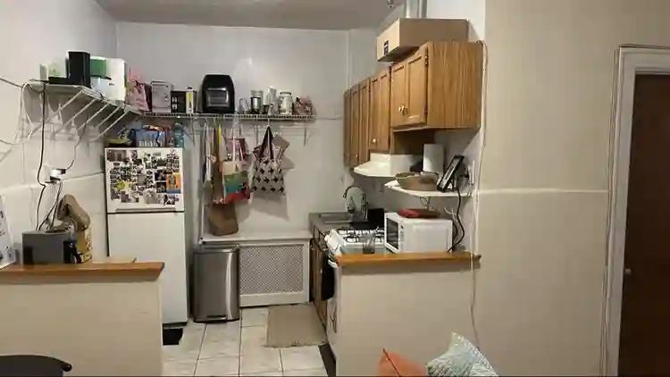 /month in Astoria - w/ cute cat