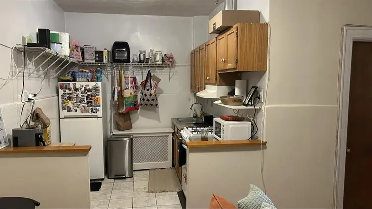 /month in Astoria - w/ cute cat