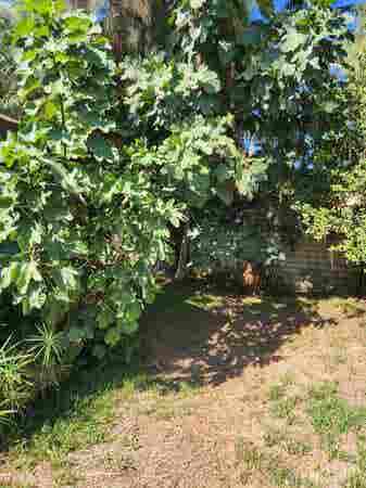 Room for Rent in Monrovia - $