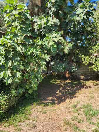 Room for Rent in Monrovia - $