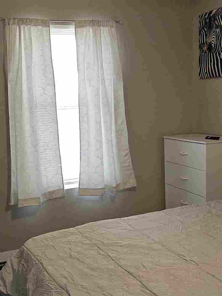 Room in S. CLT Walk to Bus Train
