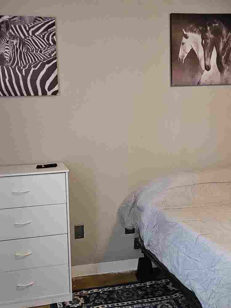 Room in S. CLT Walk to Bus Train