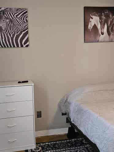 Room in S. CLT Walk to Bus Train