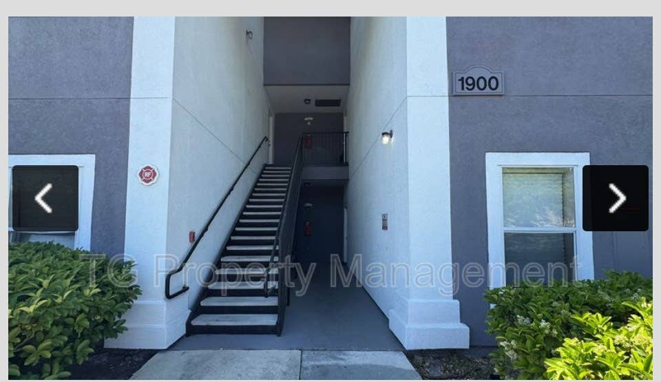 Looking for female to rent with me