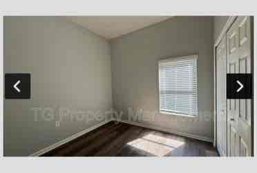 Looking for female to rent with me