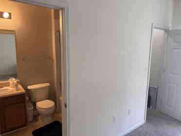 Looking for roommate