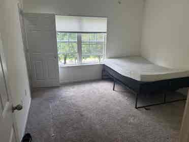 Looking for roommate