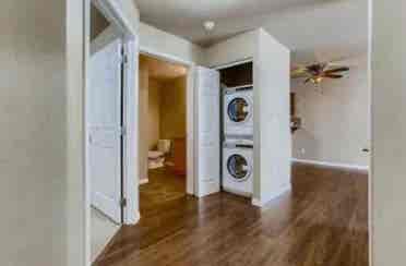 Roommate needed