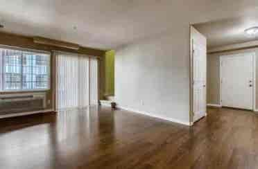 Roommate needed