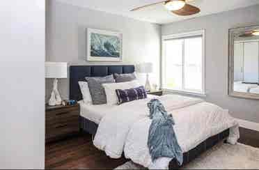 Roommate wanted in Oakland/Temescal
