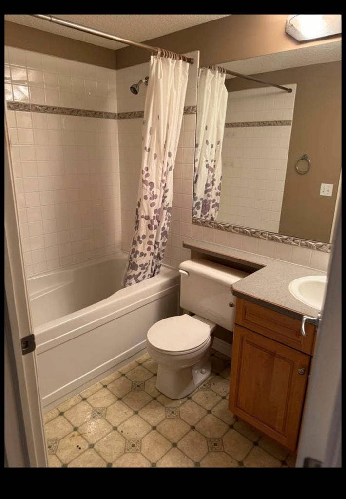 Looking for Female Roomie -August 1