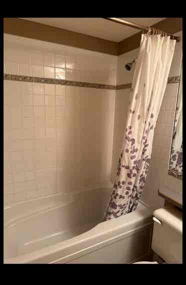 Looking for Female Roomie -August 1