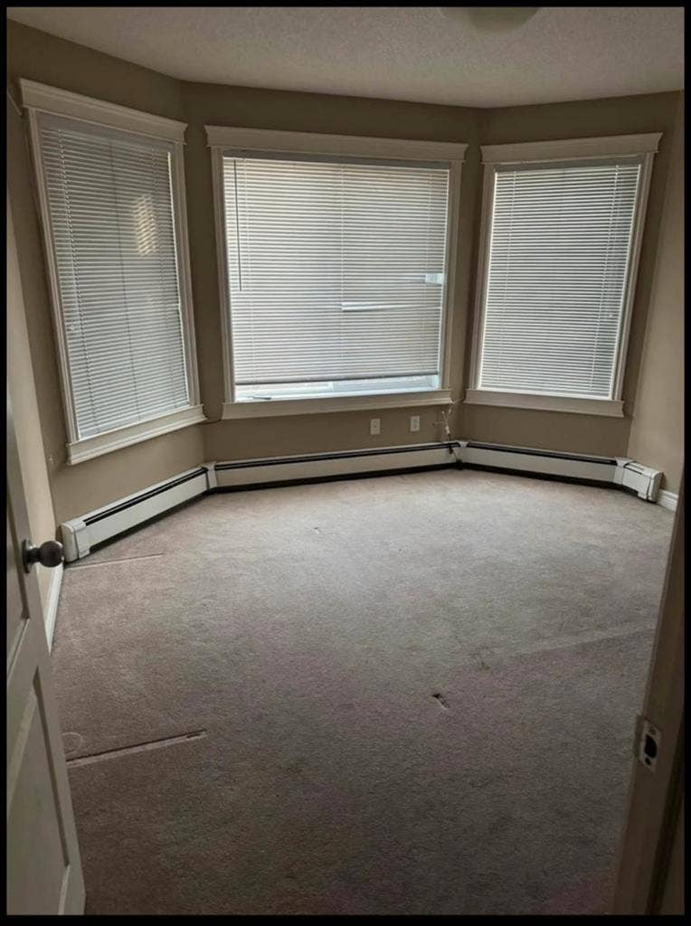 Looking for Female Roomie -August 1