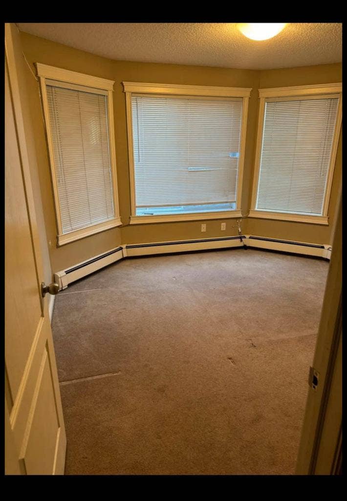 Looking for Female Roomie -August 1