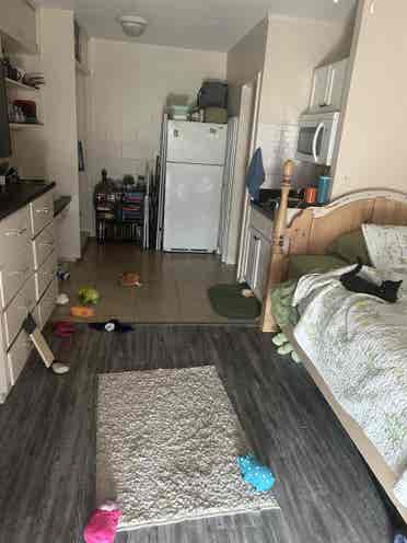 Studio available for rent!