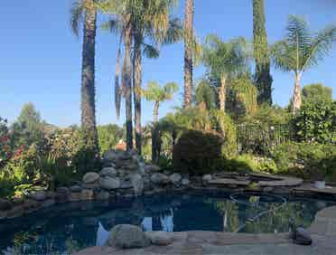 New Listing - Private Room For Rent