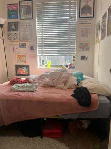 💖Room Available in Midtown South💖