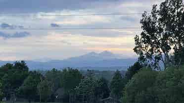 Room for Rent in South FoCo