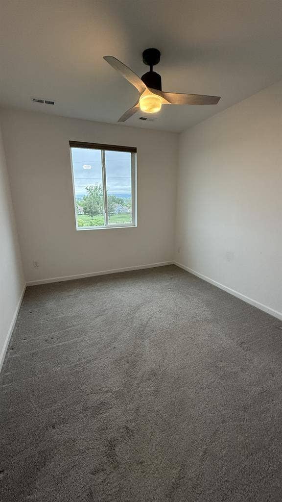 Room for Rent in South FoCo