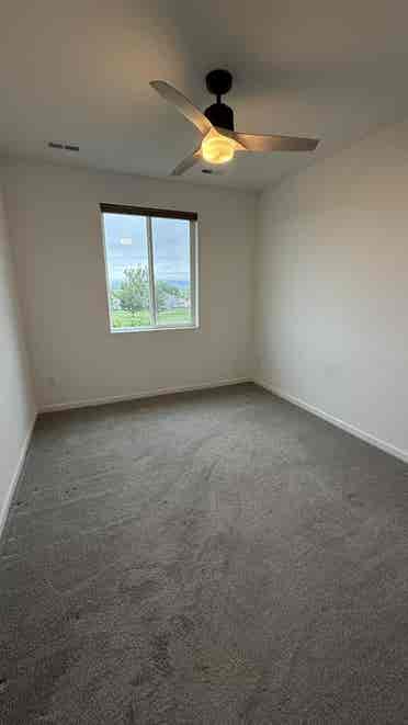 Room for Rent in South FoCo