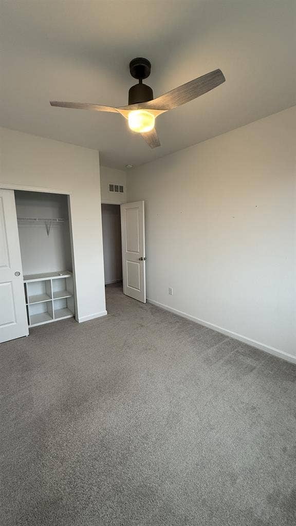 Room for Rent in South FoCo