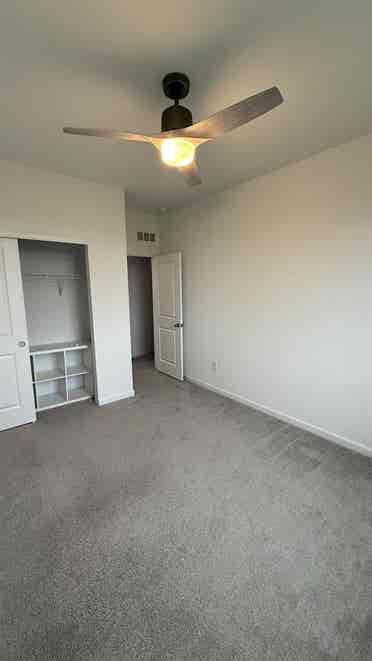 Room for Rent in South FoCo