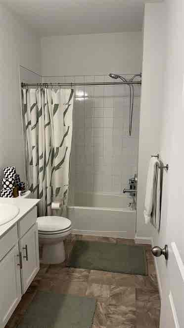 Room for Rent in South FoCo