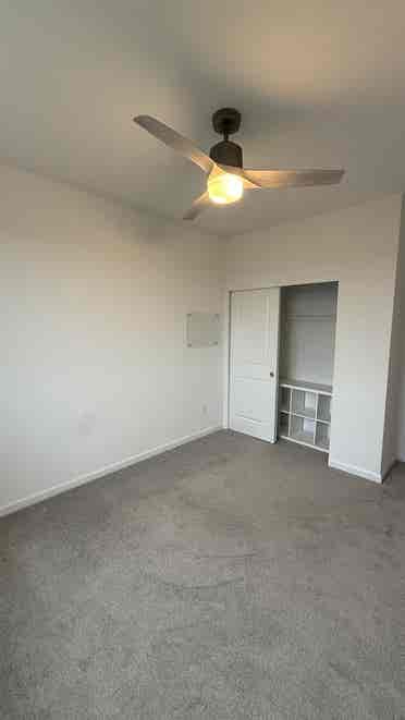 Room for Rent in South FoCo