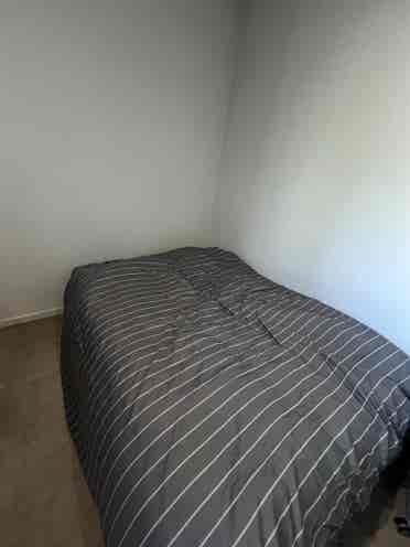 Room CBD