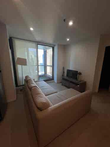 Room CBD