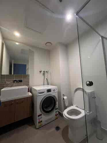 Room CBD