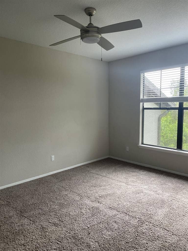 Roommate Needed