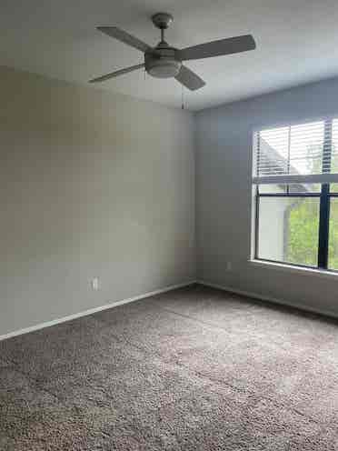 Roommate Needed