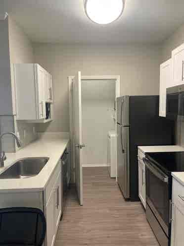 Roommate Needed