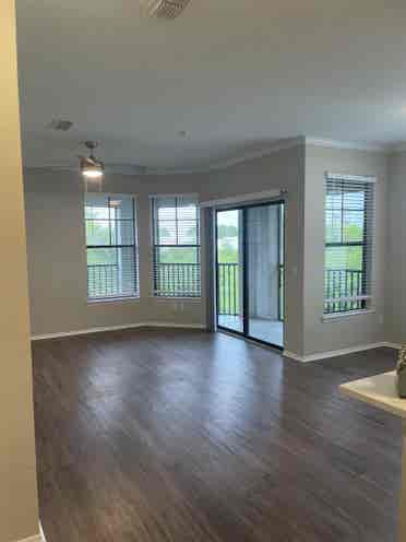 Roommate Needed