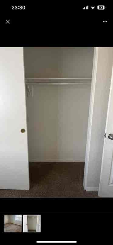 Looking for a responsible roommate