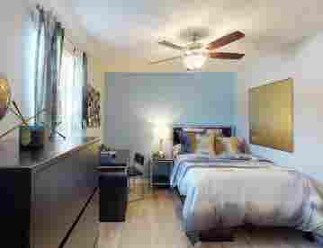 The Most Affordable Room in Tampa!