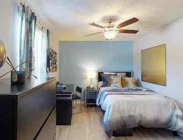 The Most Affordable Room in Tampa!