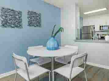 The Most Affordable Room in Tampa!