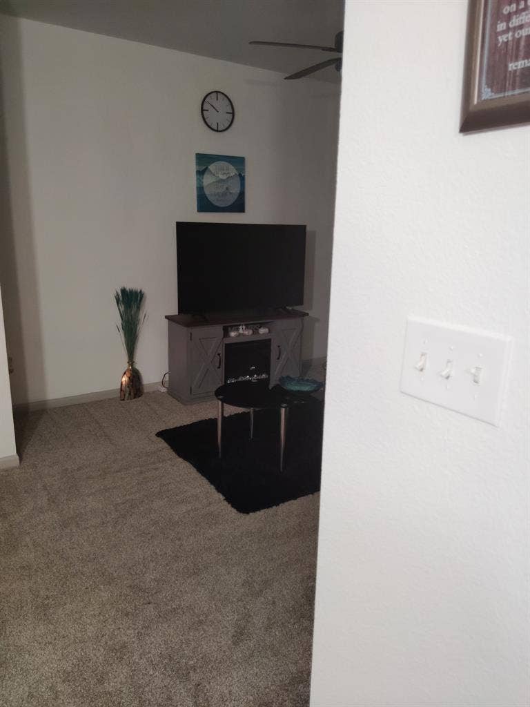 Responsible roommate needed