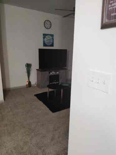 Responsible roommate needed