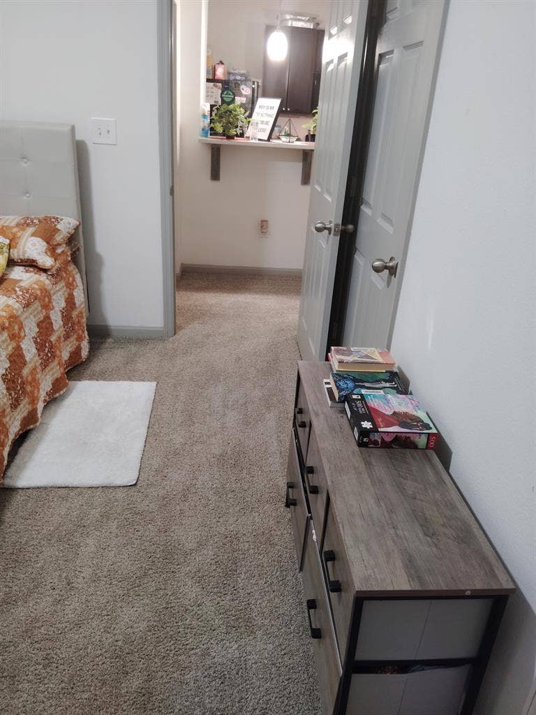 Responsible roommate needed
