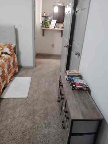 Responsible roommate needed